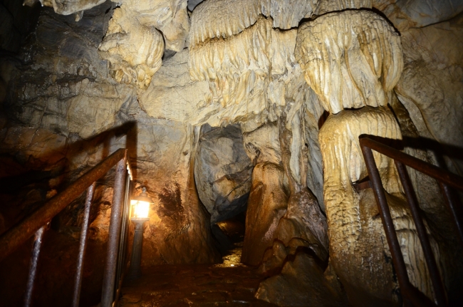 16 tür yarasaya ev sahipliği yapan Dupnisa Mağarası