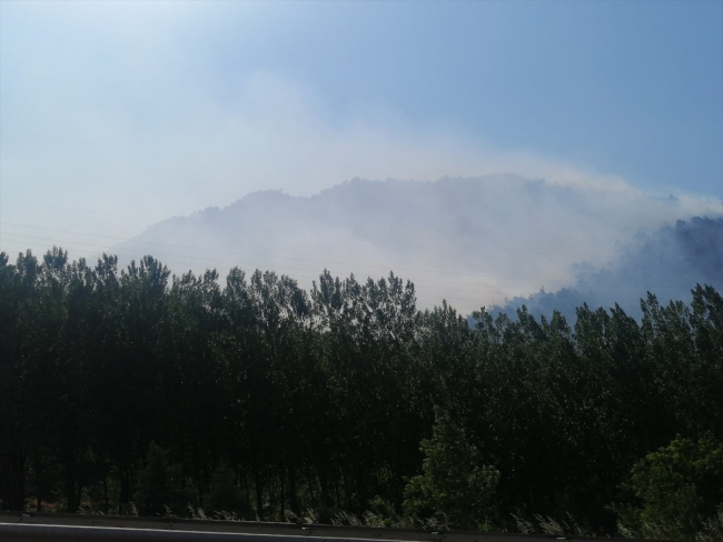 Bilecik'te orman yangını