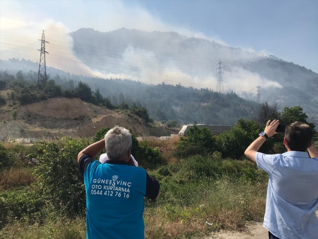 Bilecik'te orman yangını