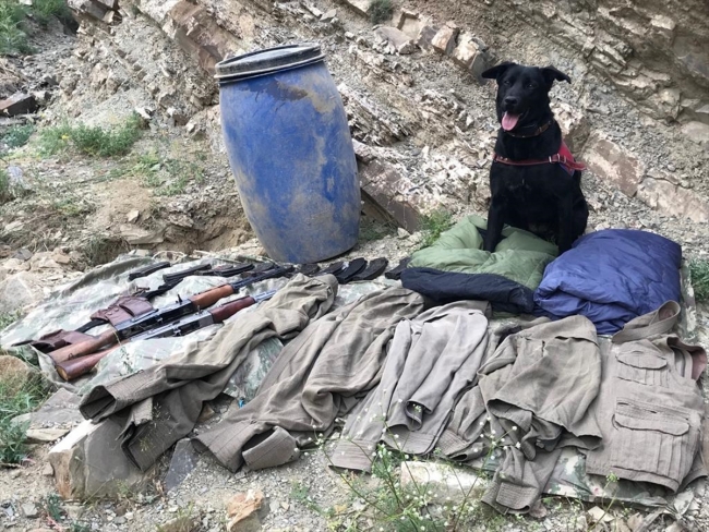 Van'da toprağa gömülü silah ve mühimmat bulundu