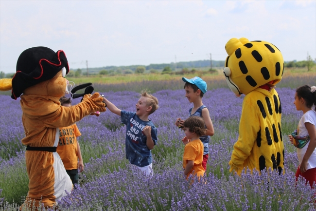Edirne'nin mor tarlaları