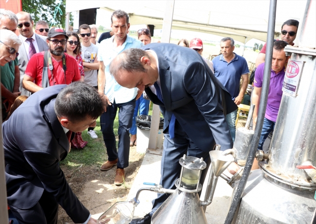 Edirne'nin mor tarlaları