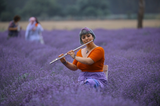 Lavantalı Osmanlı helvasını tatmak için sıraya girdiler