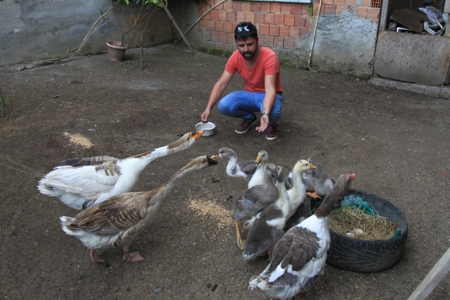 Aradığı "hırsız" tilki çıktı