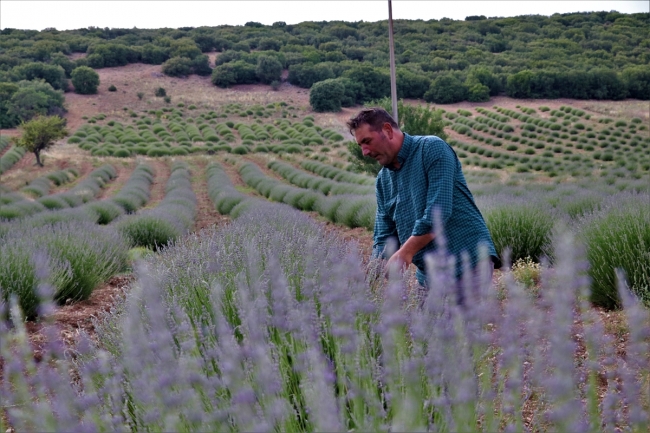 "Lavanta Kokulu Köy" sezona hazır