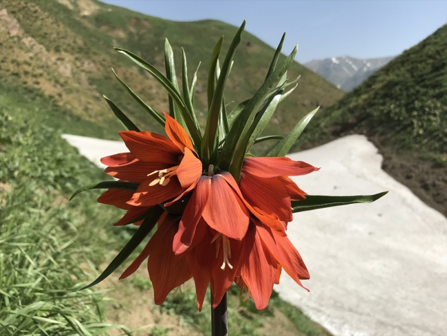 Hakkari'nin yıllardır saklı kalan doğal güzellikleri