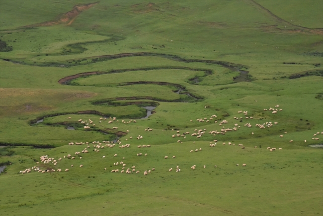 Perşembe Yaylası'nın eşsiz güzellikteki menderesleri