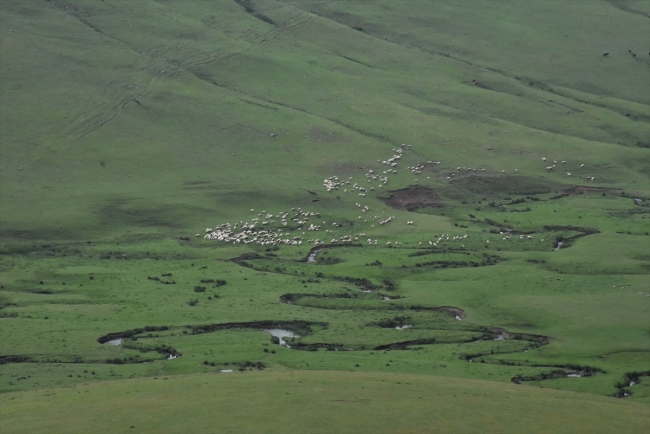 Perşembe Yaylası'nın eşsiz güzellikteki menderesleri