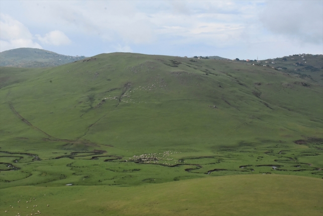 Perşembe Yaylası'nın eşsiz güzellikteki menderesleri