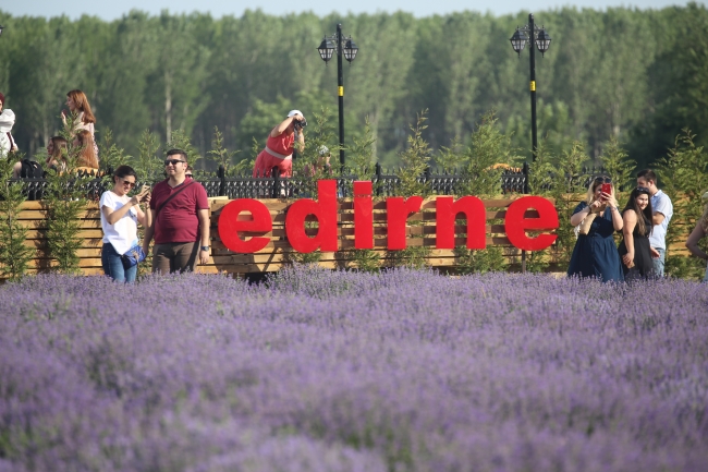 Edirne'de Lavanta Tarla Günleri yapıldı