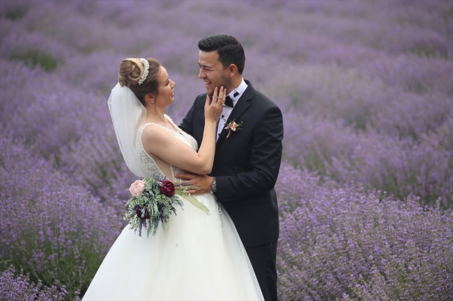 Edirne'de Lavanta Tarla Günleri yapıldı