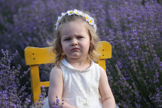 Edirne'de Lavanta Tarla Günleri yapıldı