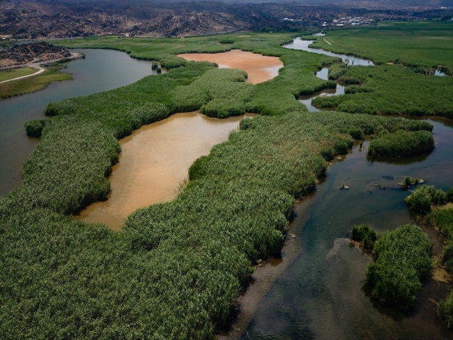 Su altı güzellikleriyle Ağrı Dağı Milli Parkı