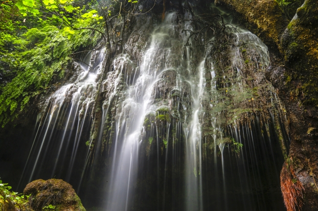 Ormanın içindeki şelale ziyaretçilerin akınına uğruyor