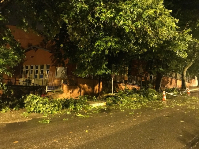 Zonguldak'ta sağanak etkili oldu