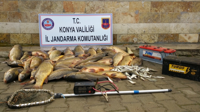 Elektroşokla balık avlayana 60 bin lira idari para cezası