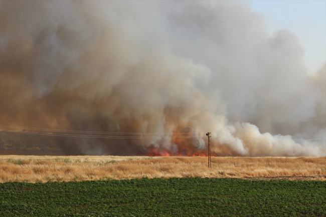 Suriye sınırında yangın