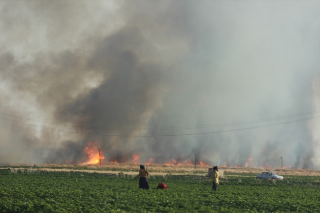 Suriye sınırında yangın