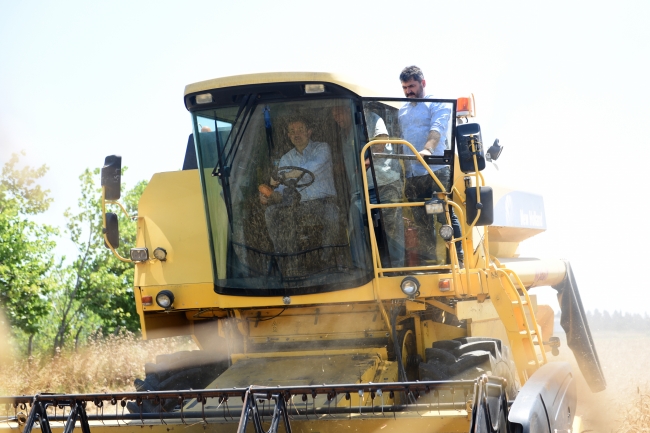 Tarım ve Orman Bakanı Pakdemirli, Büyükçekmece'de buğday hasadı yaptı