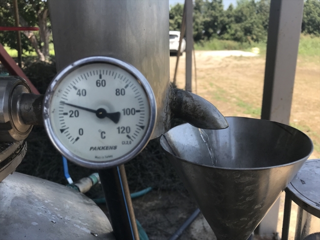 Lavanta yağının litresi 120 eurodan alıcı buluyor