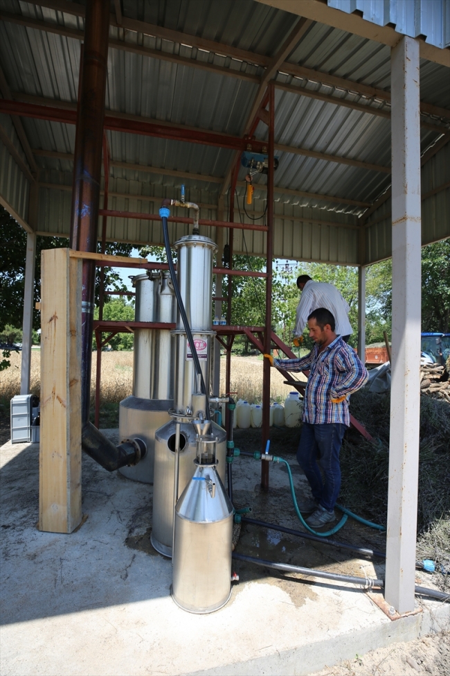 Lavanta yağının litresi 120 eurodan alıcı buluyor