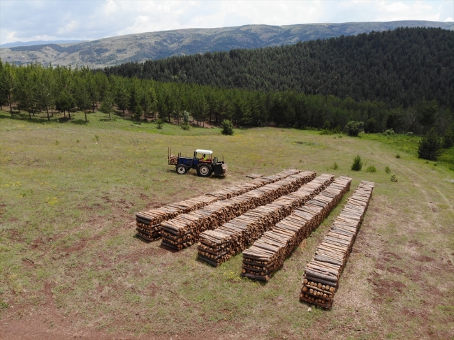 Ailesiyle omuz omuza çalışan orman işçisi Ülkü Durmuşoğlu