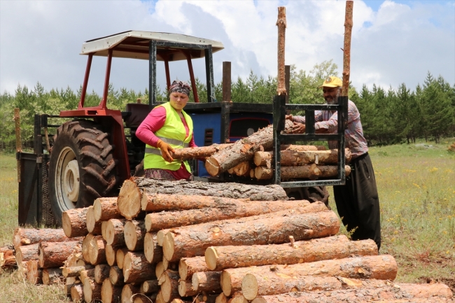 Ailesiyle omuz omuza çalışan orman işçisi Ülkü Durmuşoğlu