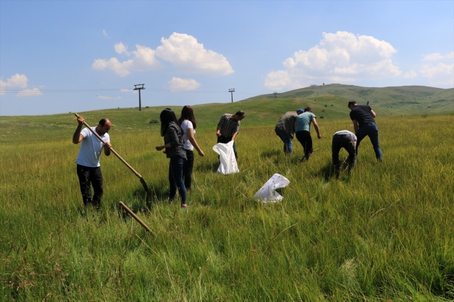 Ağrı'da kaçak salep soğanı toplayan kişiye 60 bin lira ceza