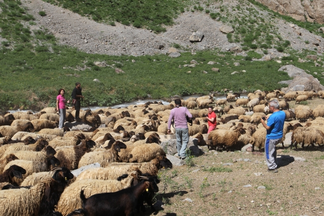 Terörden temizlenen bölgelere turistlerin ilgi odağı oldu