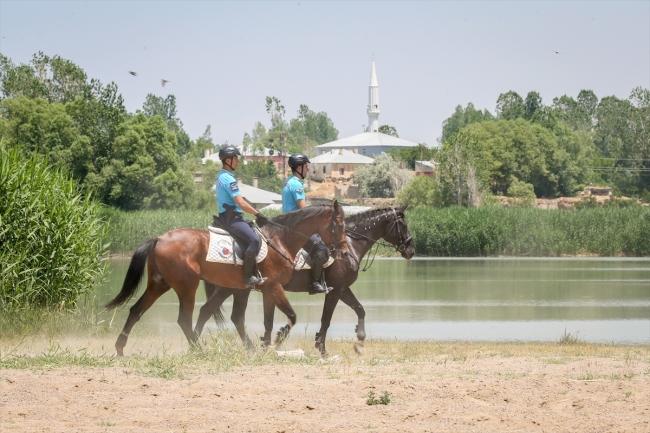 Van Gölü'nün sahillerini atlı birlikler koruyor