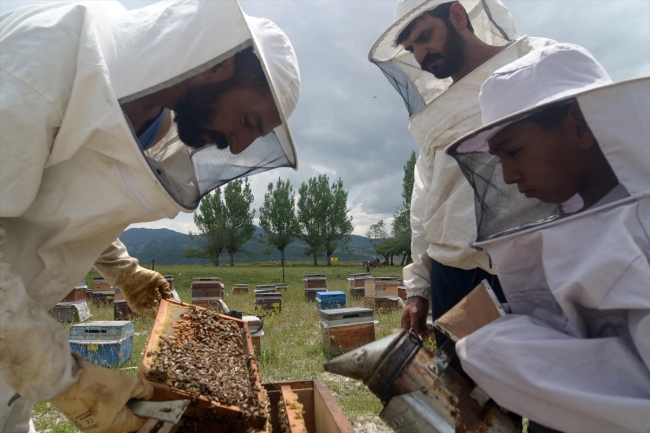 Ovacık'ın arıcıları kavurucu sıcaklarda üretim yapıyor
