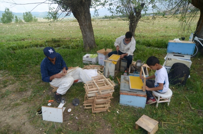 Ovacık'ın arıcıları kavurucu sıcaklarda üretim yapıyor