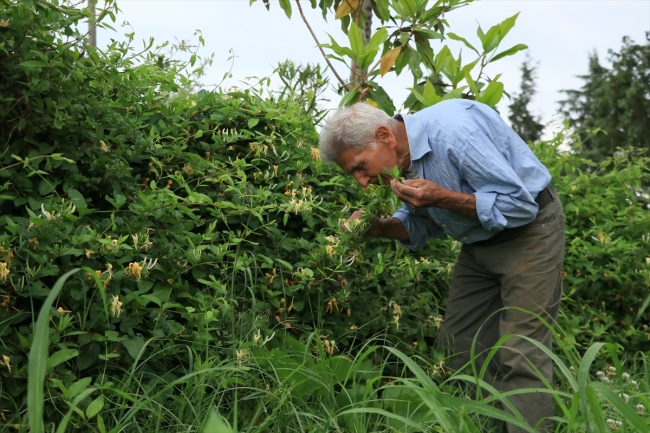 Yıllarca emek verip kıraç alanı "botanik park" yaptı