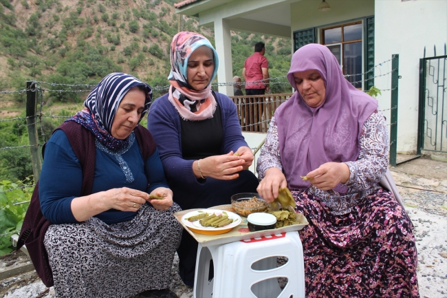 Yaprağı, meyvesinin 6 katı fiyata satılıyor