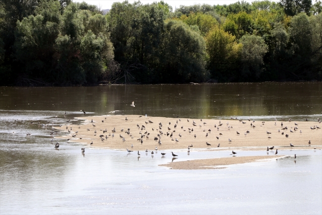 Tunca Nehri'nde su seviyesi düştü, kum adacıkları ortaya çıktı