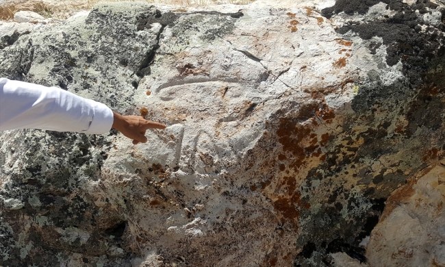 Definecilerin zarar verdiği Malkaya'da kurtarma kazılarına başlandı