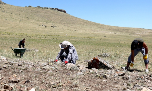 Definecilerin zarar verdiği Malkaya'da kurtarma kazılarına başlandı