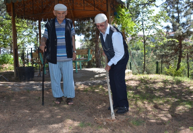 Yaşlıların huzuru için hobi bahçesi