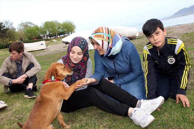 Tedavi ettirdikleri sokak hayvanlarına sıcak yuva buluyorlar