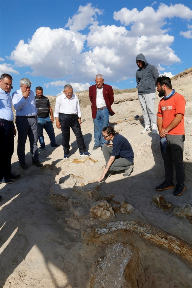 Kayseri'de 7,5 milyon yıllık zürafa fosili bulundu