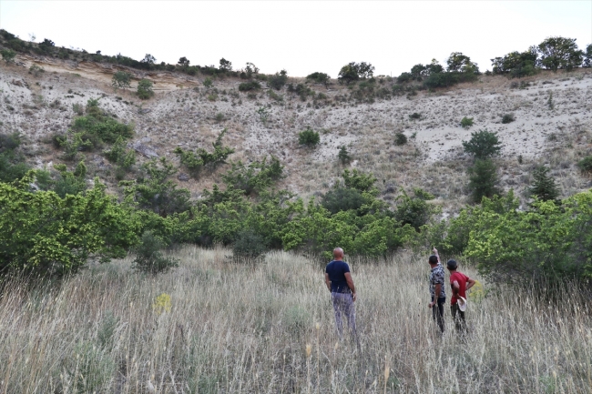 Meteor düştüğüne inanılan çukur araştırılacak