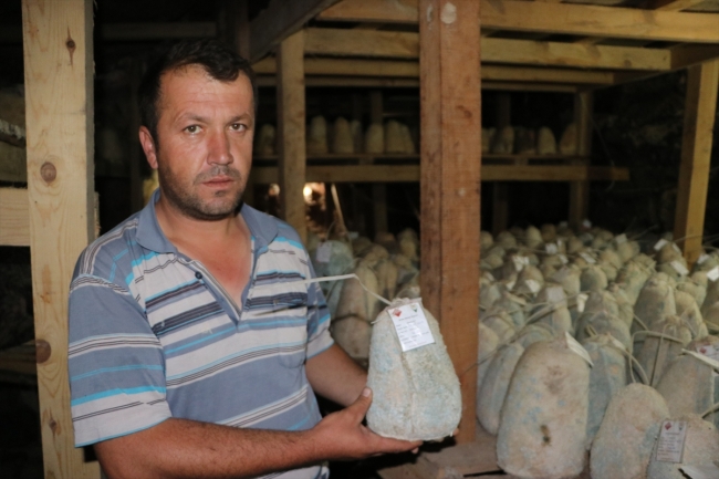 Mağaradan gelen lezzet "Divle Obruk Peynirleri"