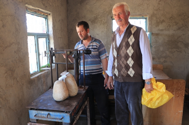 Mağaradan gelen lezzet "Divle Obruk Peynirleri"