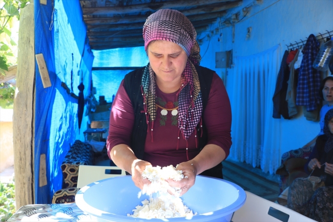 Mağaradan gelen lezzet "Divle Obruk Peynirleri"