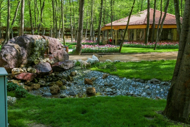 Kocaeli'de 15 yılda 8 milyon 500 bin fidan dikildi