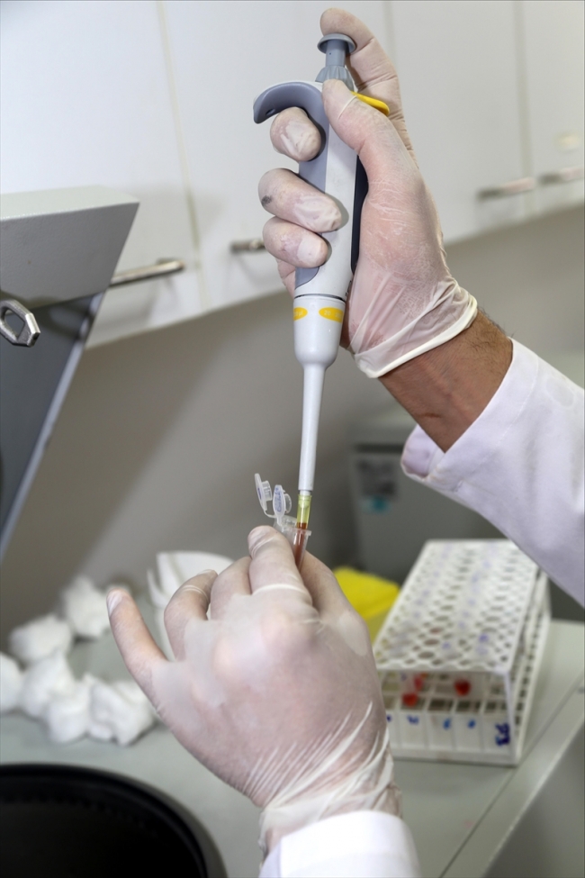 Balıklardaki mantar hastalığına "sarımsak" deva olacak