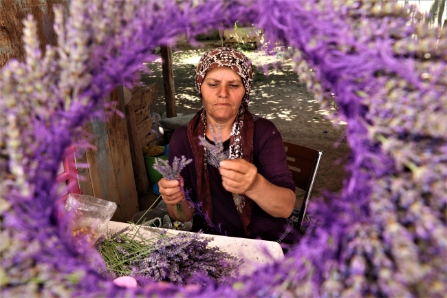 Kuyucaklı kadınların ekmek kapısı "lavanta"