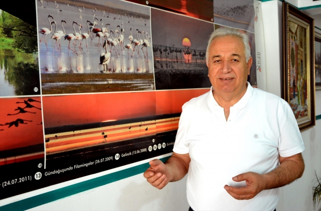 Seyfe Gölü'nde kuş yoğunluğu arttı