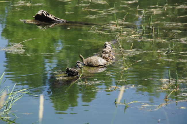 Göz kamaştıran Melekler Gölü keşfedilmeyi bekliyor