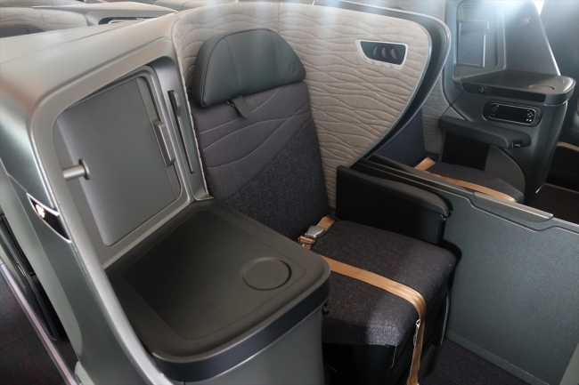 THY'nin ikinci "rüya uçağı" İstanbul'a geldi